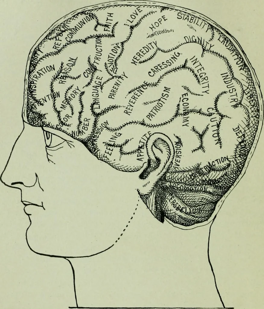 An illustration from Descriptive mentality from the head, face and hand, 1899, leaf 26