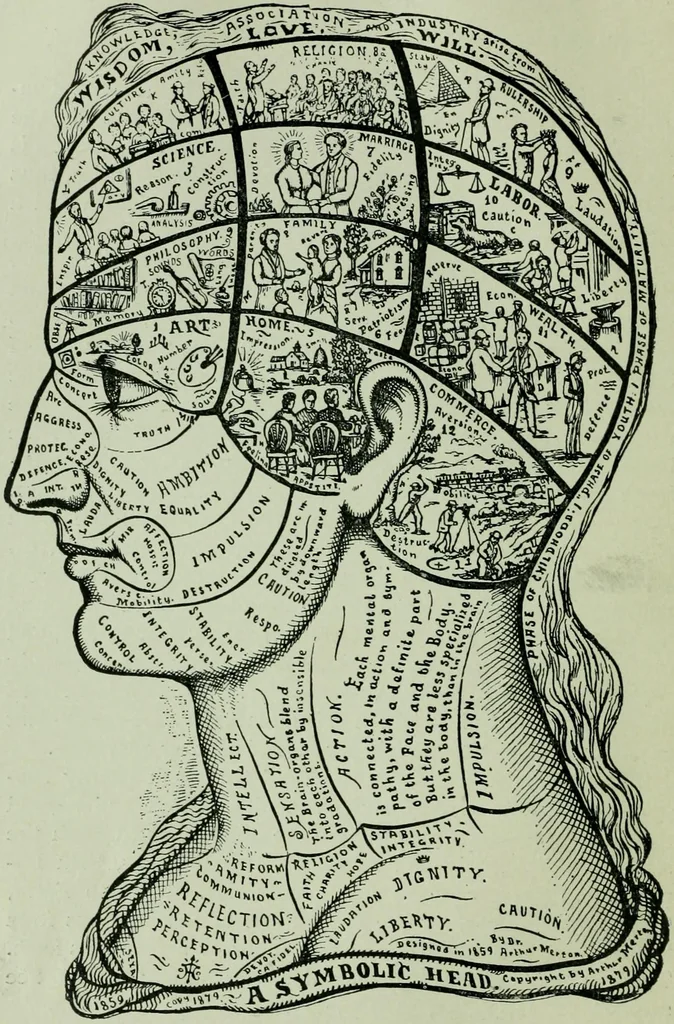 An illustration from Descriptive mentality from the head, face and hand, 1899, leaf 28
