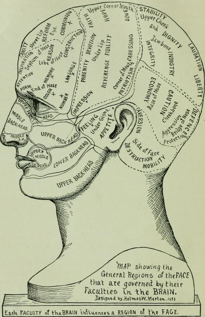 An illustration from Descriptive mentality from the head, face and hand, 1899, leaf 30