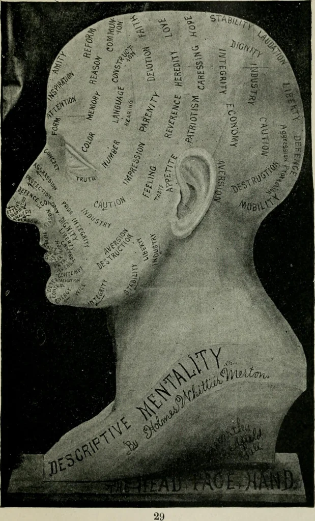 An illustration from Descriptive mentality from the head, face and hand, 1899, leaf 33