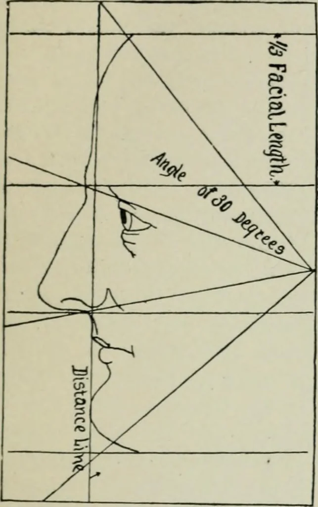 An illustration from Descriptive mentality from the head, face and hand, 1899, leaf 39