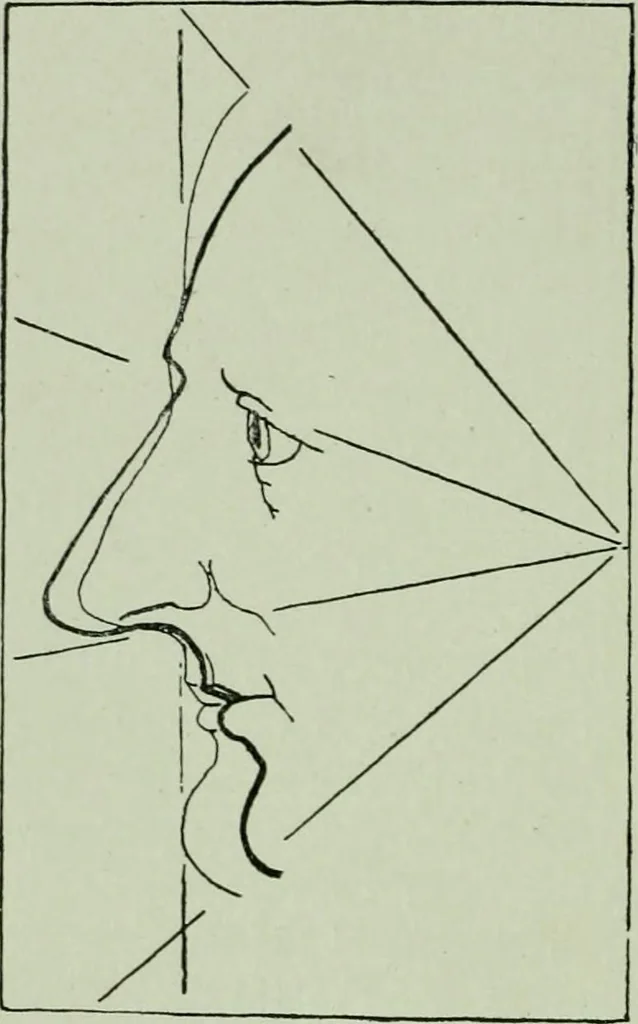 An illustration from Descriptive mentality from the head, face and hand, 1899, leaf 40