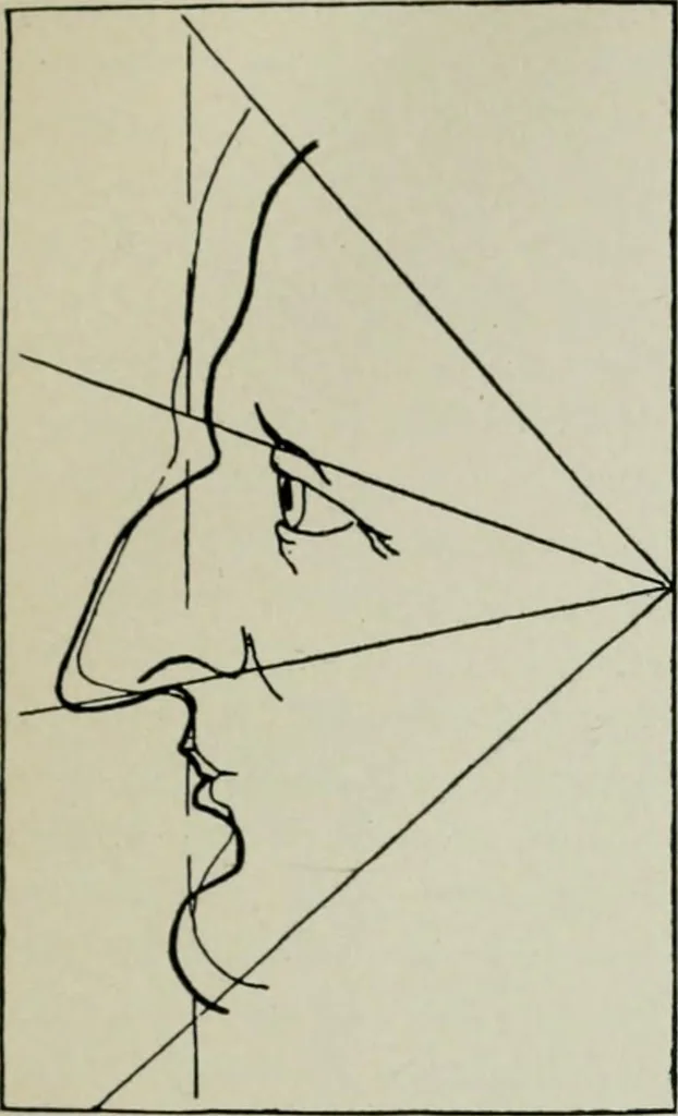 An illustration from Descriptive mentality from the head, face and hand, 1899, leaf 41