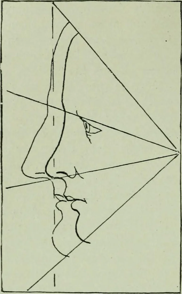 An illustration from Descriptive mentality from the head, face and hand, 1899, leaf 42