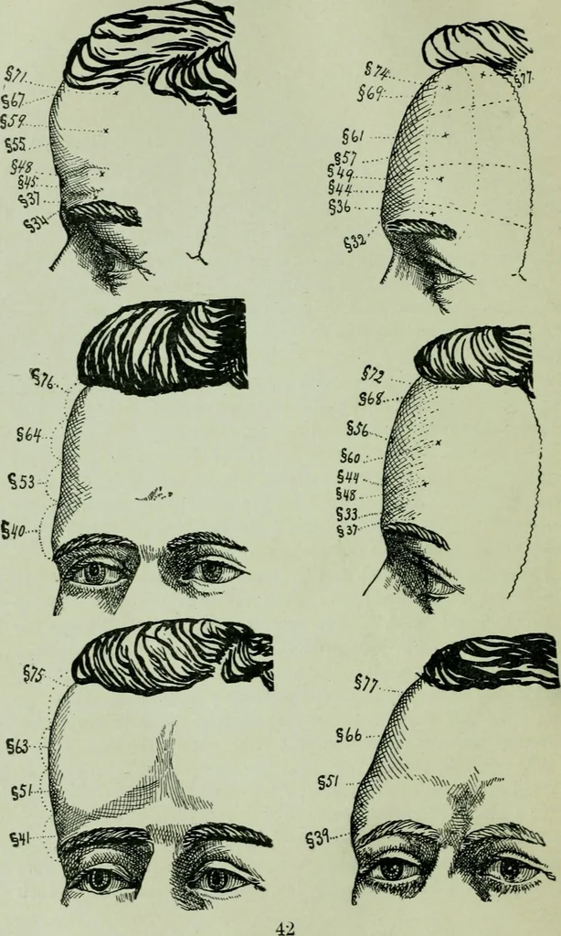 An illustration from Descriptive mentality from the head, face and hand, 1899, leaf 46