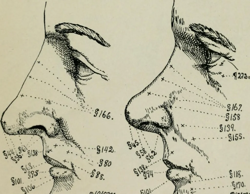 An illustration from Descriptive mentality from the head, face and hand, 1899, leaf 47