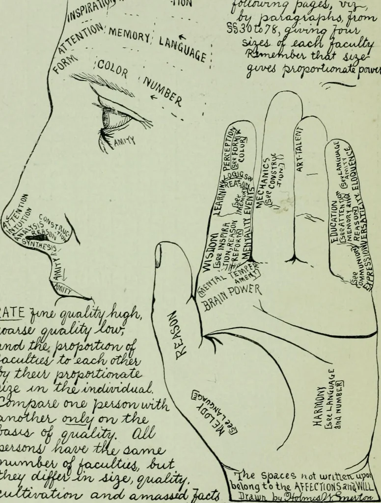 An illustration from Descriptive mentality from the head, face and hand, 1899, leaf 52
