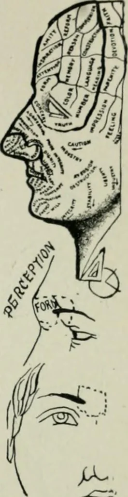 An illustration from Descriptive mentality from the head, face and hand, 1899, leaf 53