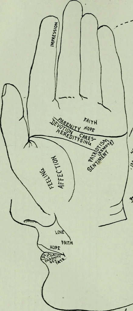 An illustration from Descriptive mentality from the head, face and hand, 1899, leaf 80