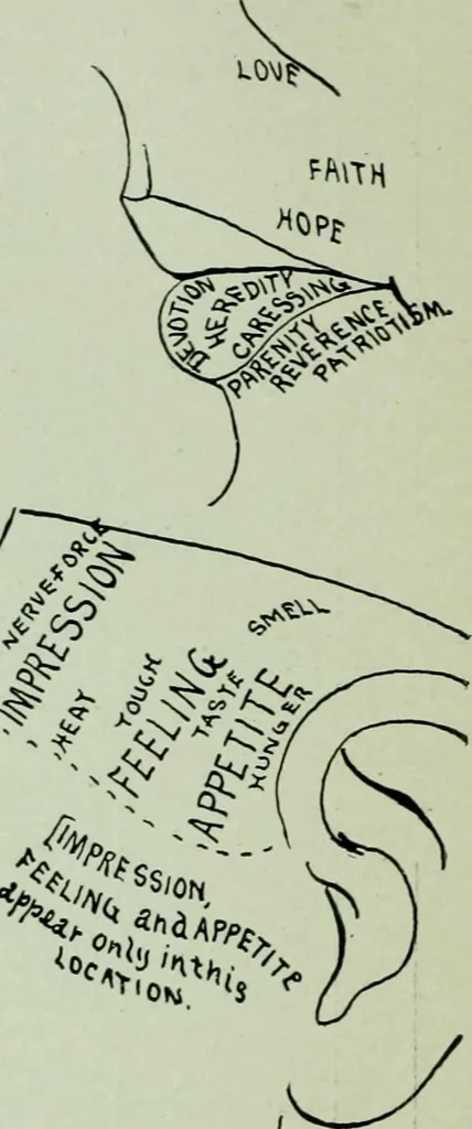 An illustration from Descriptive mentality from the head, face and hand, 1899, leaf 80