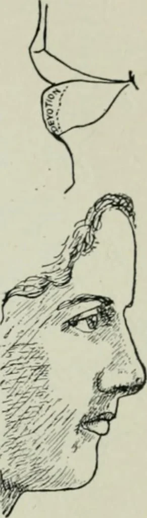 An illustration from Descriptive mentality from the head, face and hand, 1899, leaf 89