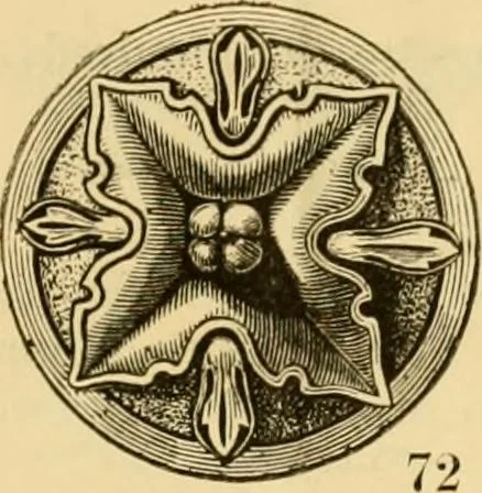An illustration from Descriptive price list of patented artificial wood ornaments, for furniture manufacturers, architects, builders, interior decorators, stair builders, car builders, organ manufacturers, steamboat builders, etc. etc., 1871, leaf 10