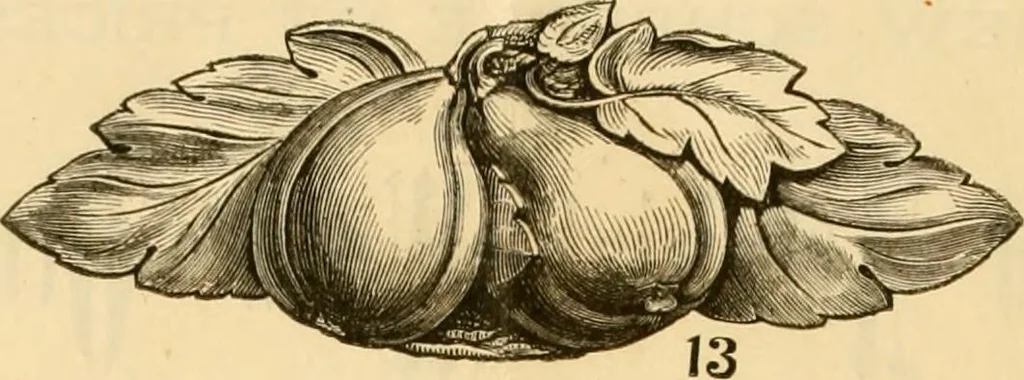 An illustration from Descriptive price list of patented artificial wood ornaments, for furniture manufacturers, architects, builders, interior decorators, stair builders, car builders, organ manufacturers, steamboat builders, etc. etc., 1871, leaf 7