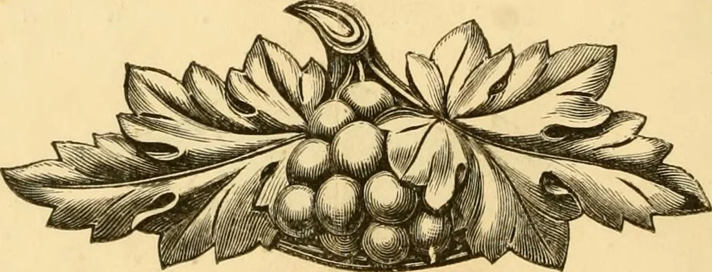 An illustration from Descriptive price list of patented artificial wood ornaments, for furniture manufacturers, architects, builders, interior decorators, stair builders, car builders, organ manufacturers, steamboat builders, etc. etc., 1871, leaf 7