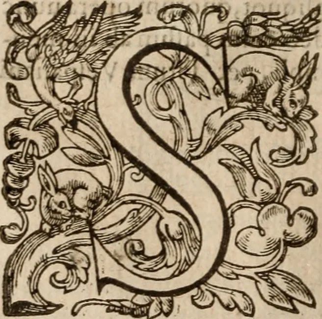 An illustration from De scriptoribvs ecclesiasticis liber vnvs, cvm adivnctis indicibvs vndecim, & breui chronologia ab orbe condito vsque ad annum M.DC.XII .., 1613, leaf 41