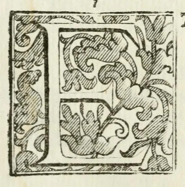 An illustration from Descritione delle feste fatte eseguire con reale magnificenza nella città di Parma, il mese di maggio 1690 : dal serenissimo signor dvca Ranvccio II per le nozze del serenissimo principe Odoardo Farnese svo primogenito, con la serenissima principessa Dorotea Sofia, palatina di Neobvrgo ..., 1690, leaf 3