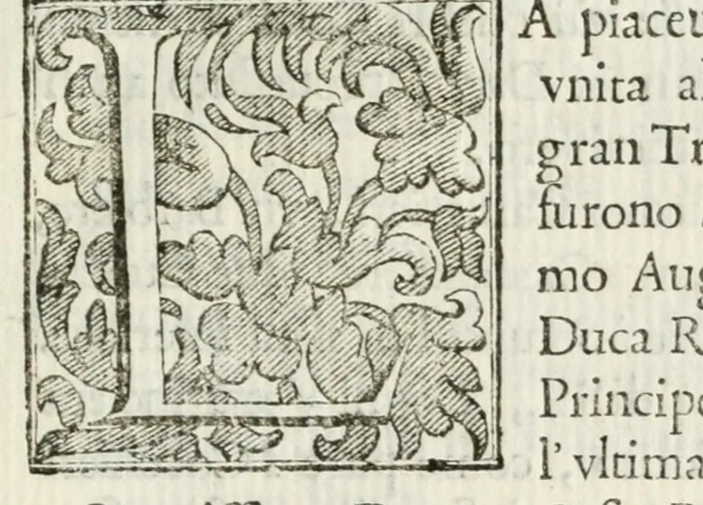 An illustration from Descritione delle feste fatte eseguire con reale magnificenza nella città di Parma, il mese di maggio 1690 : dal serenissimo signor dvca Ranvccio II per le nozze del serenissimo principe Odoardo Farnese svo primogenito, con la serenissima principessa Dorotea Sofia, palatina di Neobvrgo ..., 1690, leaf 5