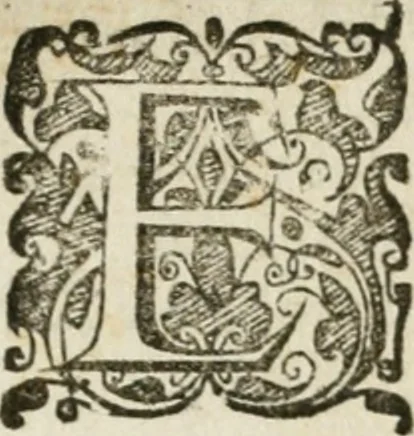 An illustration from Descrittione de gli apparati fatti in Bologna per la venvta di n. s. papa Clemente VIII. Con gli disegni de gli archi, statue, & pitture. Dedicata a gli ill.mi sig. del reggimento di Bologna, 1598, leaf 14