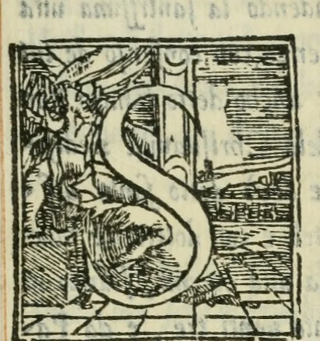 An illustration from Descrittione de i lvoghi sacri della citta di Napoli : con li fondatori di essi, reliqvie, sepoltvre, et epitaphii scelti che in qvelle si ritrovano ..., 1560, leaf 216