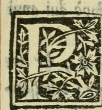 An illustration from Descrittione de i lvoghi sacri della citta di Napoli : con li fondatori di essi, reliqvie, sepoltvre, et epitaphii scelti che in qvelle si ritrovano ..., 1560, leaf 256