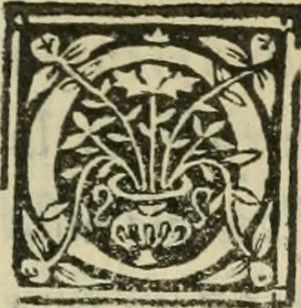 An illustration from Descrittione de i lvoghi sacri della citta di Napoli : con li fondatori di essi, reliqvie, sepoltvre, et epitaphii scelti che in qvelle si ritrovano ..., 1560, leaf 26