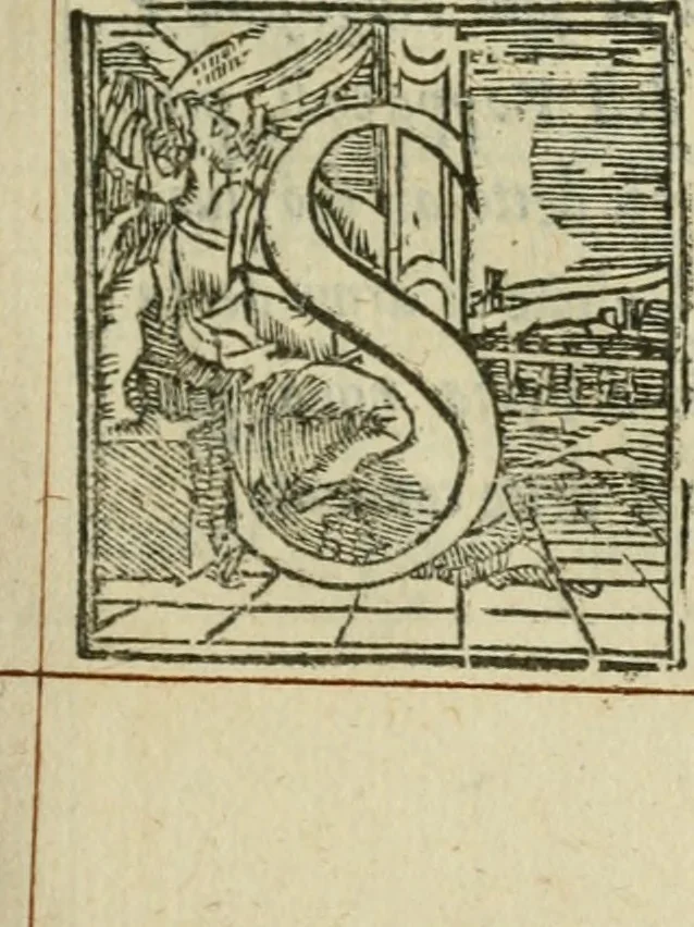 An illustration from Descrittione de i lvoghi sacri della citta di Napoli : con li fondatori di essi, reliqvie, sepoltvre, et epitaphii scelti che in qvelle si ritrovano ..., 1560, leaf 294