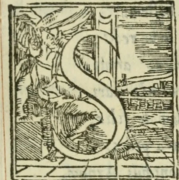 An illustration from Descrittione de i lvoghi sacri della citta di Napoli : con li fondatori di essi, reliqvie, sepoltvre, et epitaphii scelti che in qvelle si ritrovano ..., 1560, leaf 314