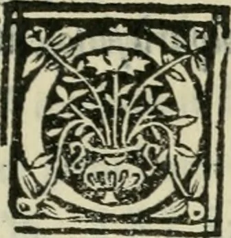 An illustration from Descrittione de i lvoghi sacri della citta di Napoli : con li fondatori di essi, reliqvie, sepoltvre, et epitaphii scelti che in qvelle si ritrovano ..., 1560, leaf 32