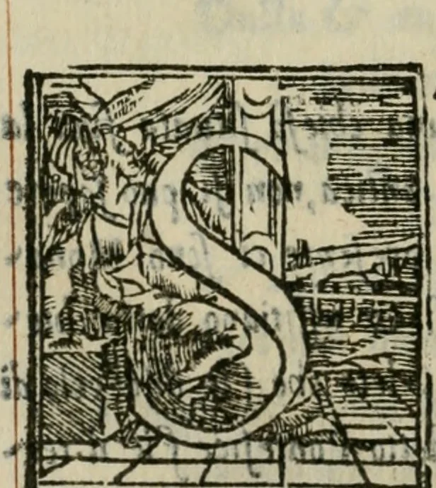An illustration from Descrittione de i lvoghi sacri della citta di Napoli : con li fondatori di essi, reliqvie, sepoltvre, et epitaphii scelti che in qvelle si ritrovano ..., 1560, leaf 335