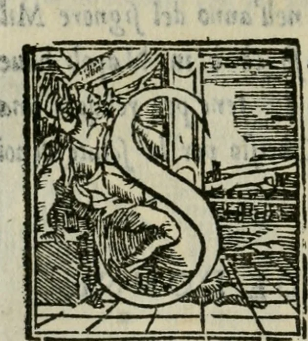 An illustration from Descrittione de i lvoghi sacri della citta di Napoli : con li fondatori di essi, reliqvie, sepoltvre, et epitaphii scelti che in qvelle si ritrovano ..., 1560, leaf 351