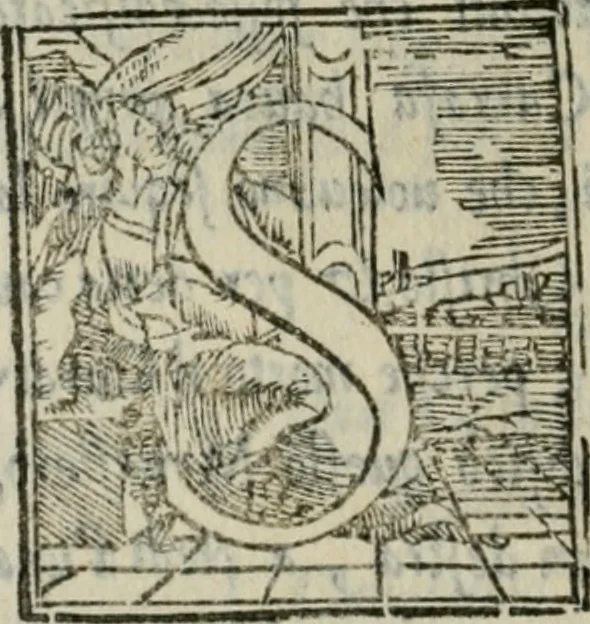 An illustration from Descrittione de i lvoghi sacri della citta di Napoli : con li fondatori di essi, reliqvie, sepoltvre, et epitaphii scelti che in qvelle si ritrovano ..., 1560, leaf 367