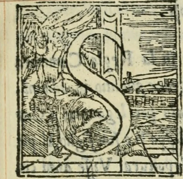 An illustration from Descrittione de i lvoghi sacri della citta di Napoli : con li fondatori di essi, reliqvie, sepoltvre, et epitaphii scelti che in qvelle si ritrovano ..., 1560, leaf 376