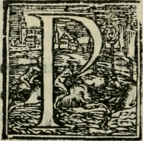 An illustration from Descrittione de i lvoghi sacri della citta di Napoli : con li fondatori di essi, reliqvie, sepoltvre, et epitaphii scelti che in qvelle si ritrovano ..., 1560, leaf 383