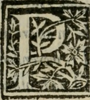 An illustration from Descrittione de i lvoghi sacri della citta di Napoli : con li fondatori di essi, reliqvie, sepoltvre, et epitaphii scelti che in qvelle si ritrovano ..., 1560, leaf 39