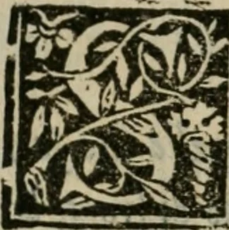 An illustration from Descrittione de i lvoghi sacri della citta di Napoli : con li fondatori di essi, reliqvie, sepoltvre, et epitaphii scelti che in qvelle si ritrovano ..., 1560, leaf 81