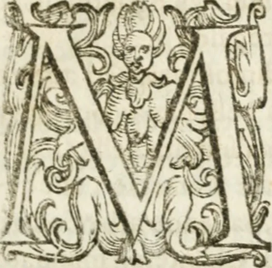 An illustration from Descrittione delle feste fatte in Roma per la nascita del delfino, hora Ludouico XIV. re di Francia e di Nauarra : e del donatiuo mandato alla Santa Casa di Loreto : con vn breue racconto dell'essequie fatte al defonto re suo padre, 1643, leaf 42