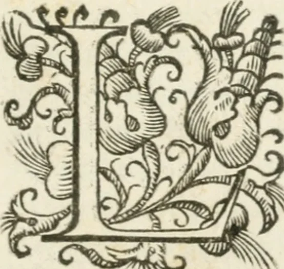 An illustration from Descrittione delle feste fatte in Roma per la nascita del delfino, hora Ludouico XIV. re di Francia e di Nauarra : e del donatiuo mandato alla Santa Casa di Loreto : con vn breue racconto dell'essequie fatte al defonto re suo padre, 1643, leaf 6