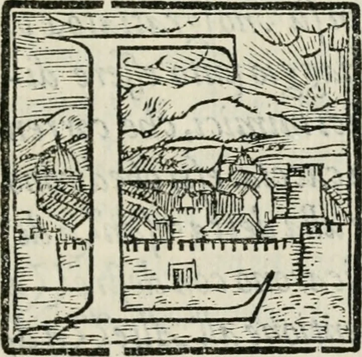 An illustration from Descrittione della mascherata della bvfola : fatta dalla magnanima natione spagnivola, nelle feste si fecero nell'alma città di Fiorenza per honorare la presenza della sereniss. altezza dell'eccellentiss. arciduca d'Austria, il quinto giorno di maggio 1569, 1569, leaf 10