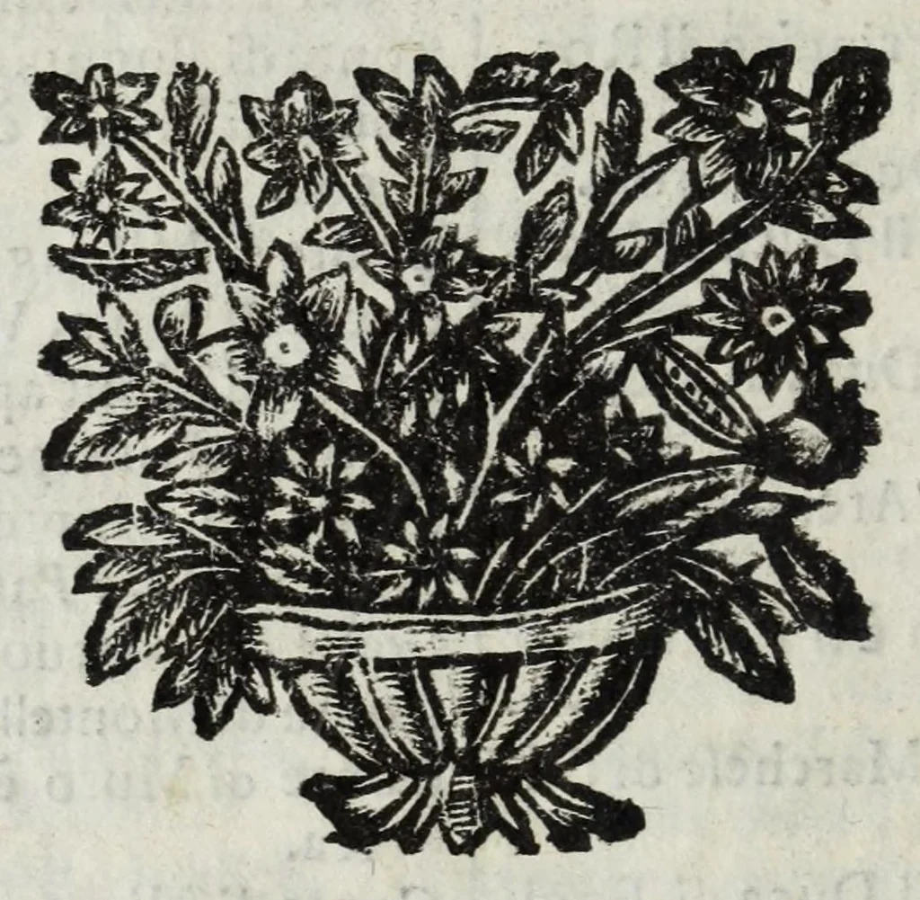 An illustration from Descrittione del Regno di Napoli : diuiso in dodeci prouincie, nella quale con breuità si tratta della fedelissima città di Napoli, e dele cose più notabili di essa, e delle città e terre più illustri del Regno, con le famiglie nobili, non solo di quella, ma dell'altre città di esso Regno : con i vescouadi, & arciuescouadi, e santi, che sono in esso ..., 1671, leaf 108