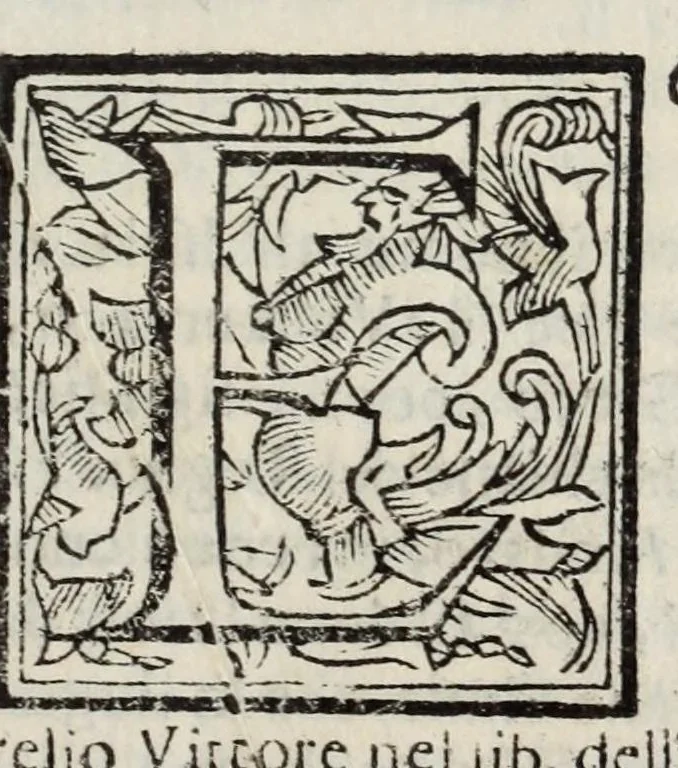 An illustration from Descrittione del Regno di Napoli : diuiso in dodeci prouincie, nella quale con breuità si tratta della fedelissima città di Napoli, e dele cose più notabili di essa, e delle città e terre più illustri del Regno, con le famiglie nobili, non solo di quella, ma dell'altre città di esso Regno : con i vescouadi, & arciuescouadi, e santi, che sono in esso ..., 1671, leaf 119