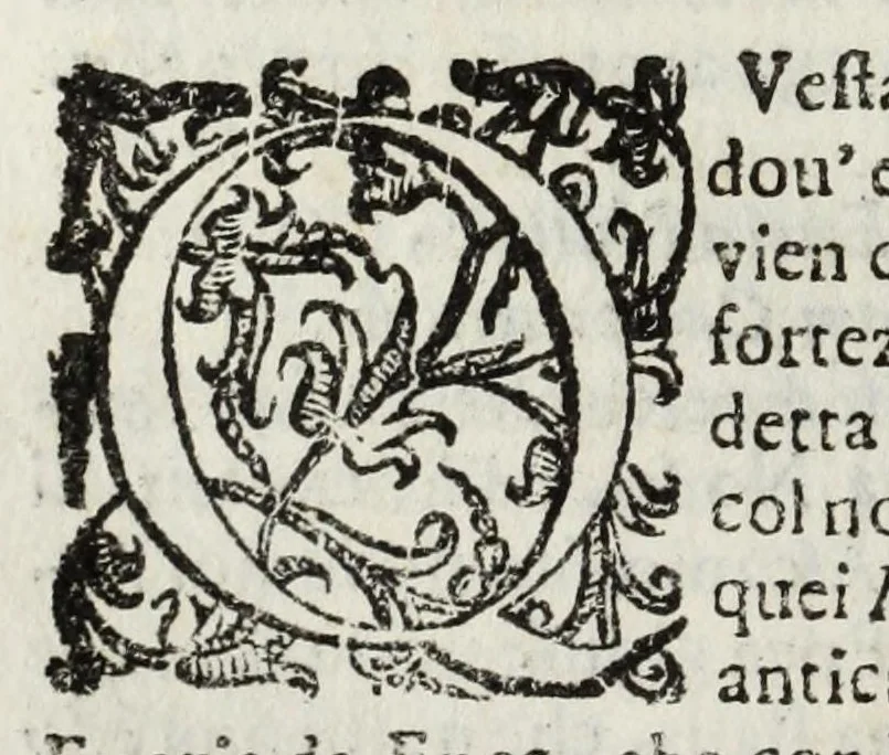 An illustration from Descrittione del Regno di Napoli : diuiso in dodeci prouincie, nella quale con breuità si tratta della fedelissima città di Napoli, e dele cose più notabili di essa, e delle città e terre più illustri del Regno, con le famiglie nobili, non solo di quella, ma dell'altre città di esso Regno : con i vescouadi, & arciuescouadi, e santi, che sono in esso ..., 1671, leaf 120