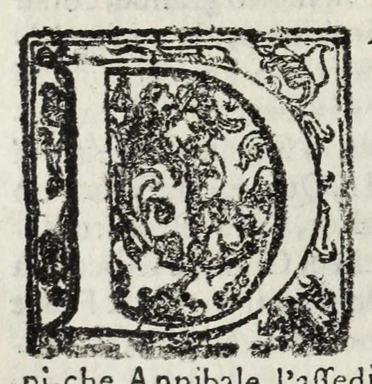 An illustration from Descrittione del Regno di Napoli : diuiso in dodeci prouincie, nella quale con breuità si tratta della fedelissima città di Napoli, e dele cose più notabili di essa, e delle città e terre più illustri del Regno, con le famiglie nobili, non solo di quella, ma dell'altre città di esso Regno : con i vescouadi, & arciuescouadi, e santi, che sono in esso ..., 1671, leaf 124