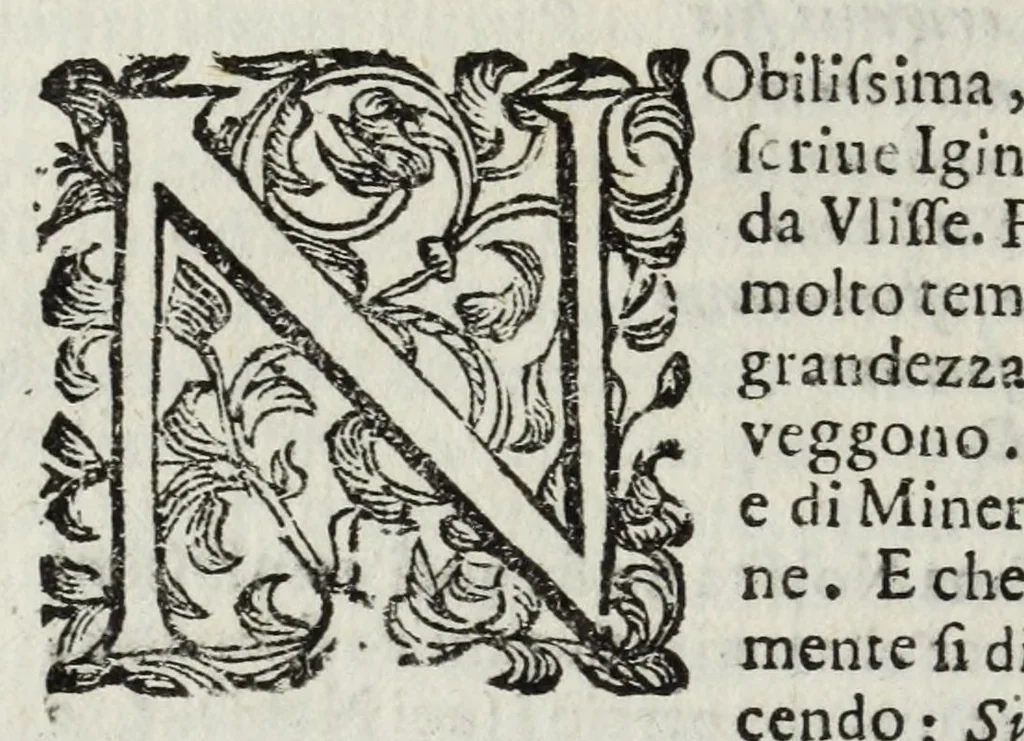 An illustration from Descrittione del Regno di Napoli : diuiso in dodeci prouincie, nella quale con breuità si tratta della fedelissima città di Napoli, e dele cose più notabili di essa, e delle città e terre più illustri del Regno, con le famiglie nobili, non solo di quella, ma dell'altre città di esso Regno : con i vescouadi, & arciuescouadi, e santi, che sono in esso ..., 1671, leaf 138