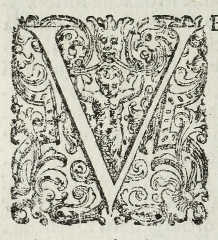 An illustration from Descrittione del Regno di Napoli : diuiso in dodeci prouincie, nella quale con breuità si tratta della fedelissima città di Napoli, e dele cose più notabili di essa, e delle città e terre più illustri del Regno, con le famiglie nobili, non solo di quella, ma dell'altre città di esso Regno : con i vescouadi, & arciuescouadi, e santi, che sono in esso ..., 1671, leaf 140