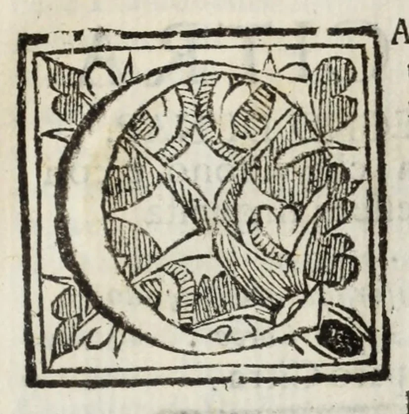 An illustration from Descrittione del Regno di Napoli : diuiso in dodeci prouincie, nella quale con breuità si tratta della fedelissima città di Napoli, e dele cose più notabili di essa, e delle città e terre più illustri del Regno, con le famiglie nobili, non solo di quella, ma dell'altre città di esso Regno : con i vescouadi, & arciuescouadi, e santi, che sono in esso ..., 1671, leaf 141