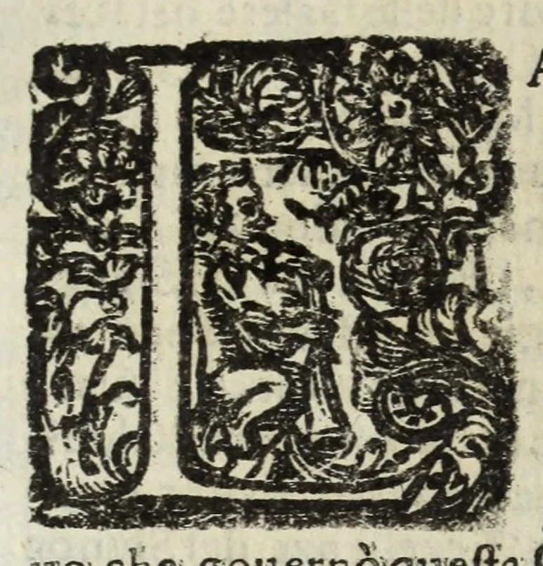 An illustration from Descrittione del Regno di Napoli : diuiso in dodeci prouincie, nella quale con breuità si tratta della fedelissima città di Napoli, e dele cose più notabili di essa, e delle città e terre più illustri del Regno, con le famiglie nobili, non solo di quella, ma dell'altre città di esso Regno : con i vescouadi, & arciuescouadi, e santi, che sono in esso ..., 1671, leaf 154