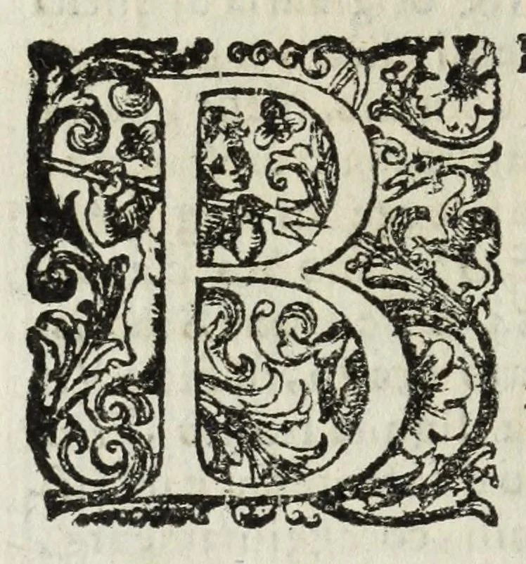 An illustration from Descrittione del Regno di Napoli : diuiso in dodeci prouincie, nella quale con breuità si tratta della fedelissima città di Napoli, e dele cose più notabili di essa, e delle città e terre più illustri del Regno, con le famiglie nobili, non solo di quella, ma dell'altre città di esso Regno : con i vescouadi, & arciuescouadi, e santi, che sono in esso ..., 1671, leaf 156