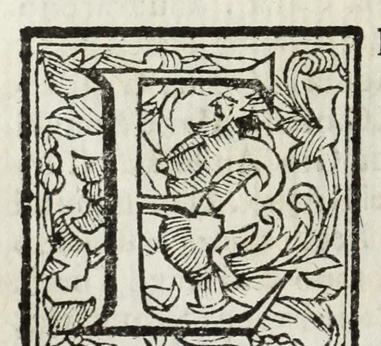 An illustration from Descrittione del Regno di Napoli : diuiso in dodeci prouincie, nella quale con breuità si tratta della fedelissima città di Napoli, e dele cose più notabili di essa, e delle città e terre più illustri del Regno, con le famiglie nobili, non solo di quella, ma dell'altre città di esso Regno : con i vescouadi, & arciuescouadi, e santi, che sono in esso ..., 1671, leaf 156