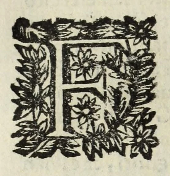 An illustration from Descrittione del Regno di Napoli : diuiso in dodeci prouincie, nella quale con breuità si tratta della fedelissima città di Napoli, e dele cose più notabili di essa, e delle città e terre più illustri del Regno, con le famiglie nobili, non solo di quella, ma dell'altre città di esso Regno : con i vescouadi, & arciuescouadi, e santi, che sono in esso ..., 1671, leaf 160