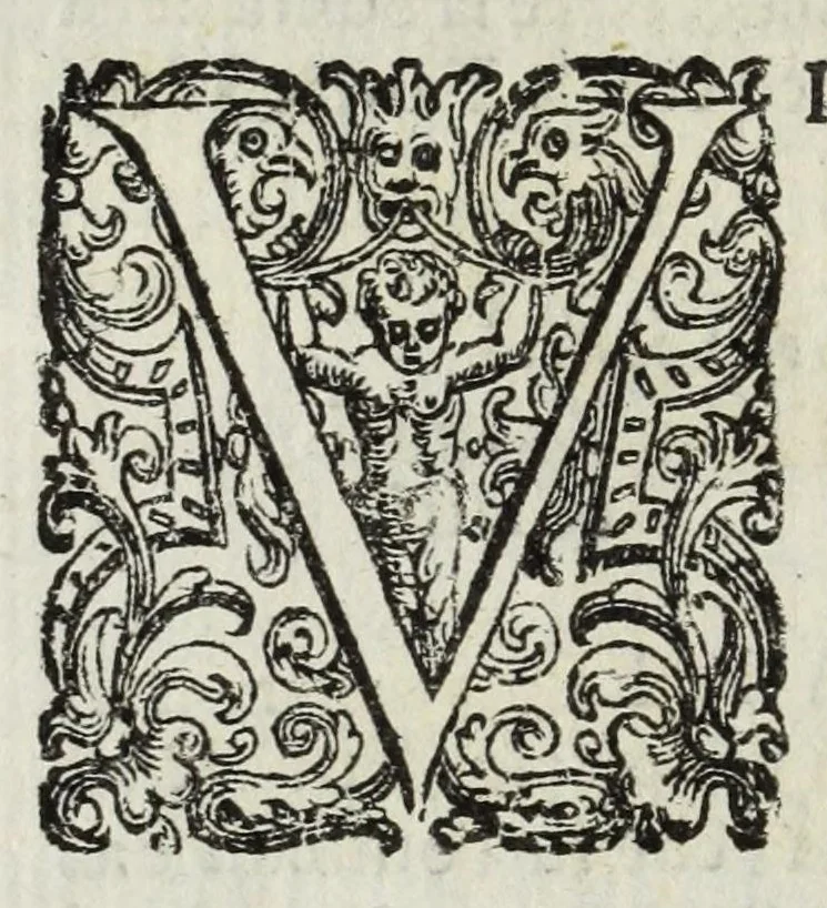 An illustration from Descrittione del Regno di Napoli : diuiso in dodeci prouincie, nella quale con breuità si tratta della fedelissima città di Napoli, e dele cose più notabili di essa, e delle città e terre più illustri del Regno, con le famiglie nobili, non solo di quella, ma dell'altre città di esso Regno : con i vescouadi, & arciuescouadi, e santi, che sono in esso ..., 1671, leaf 160